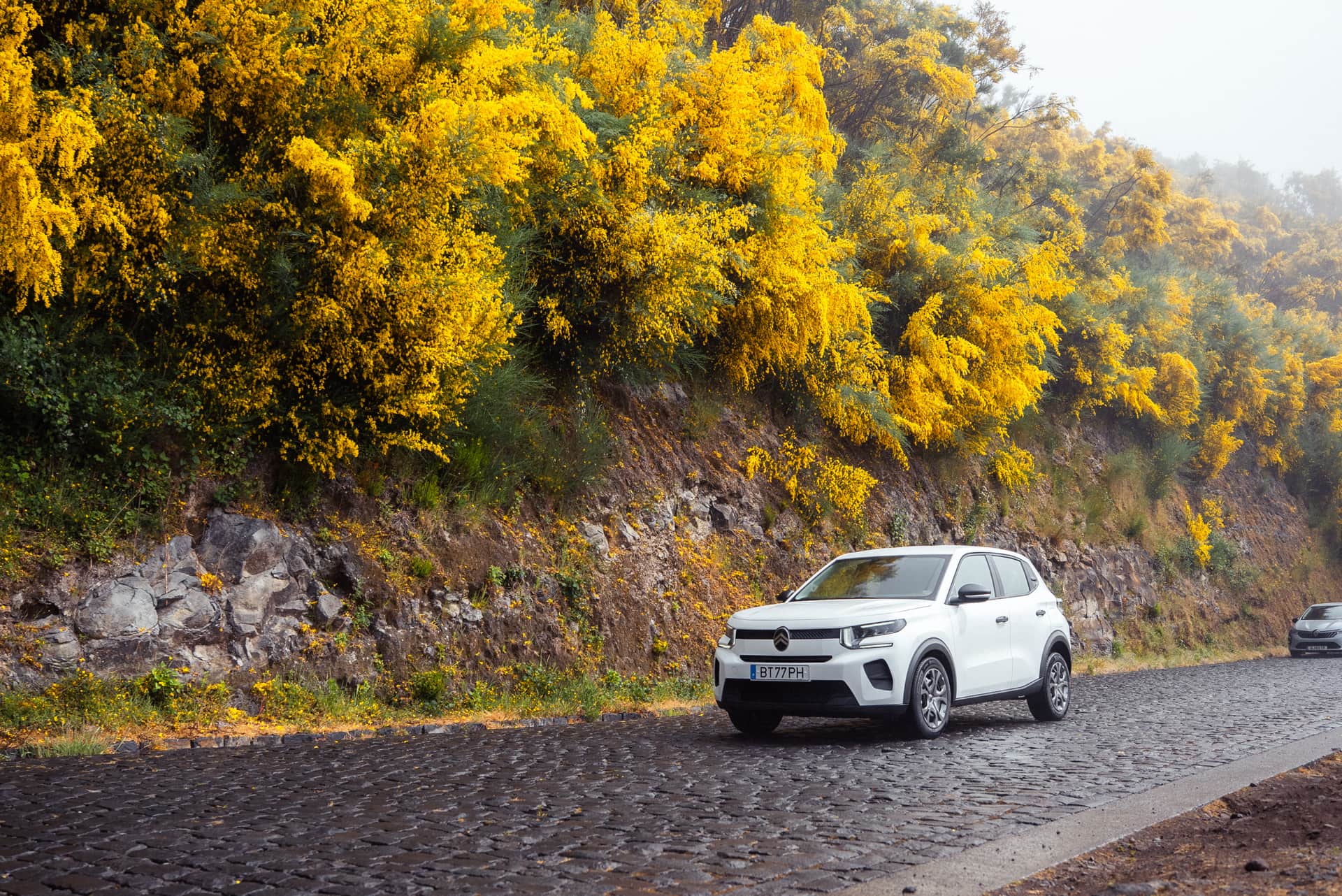 In Madeira, the Longer Route Is Usually the Better One 1 route