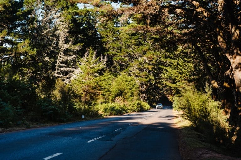 madeira is famous for