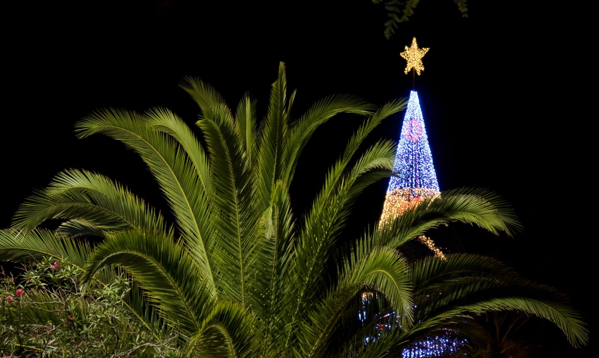 Christmas and New Year’s in Madeira with Move 2 christmas