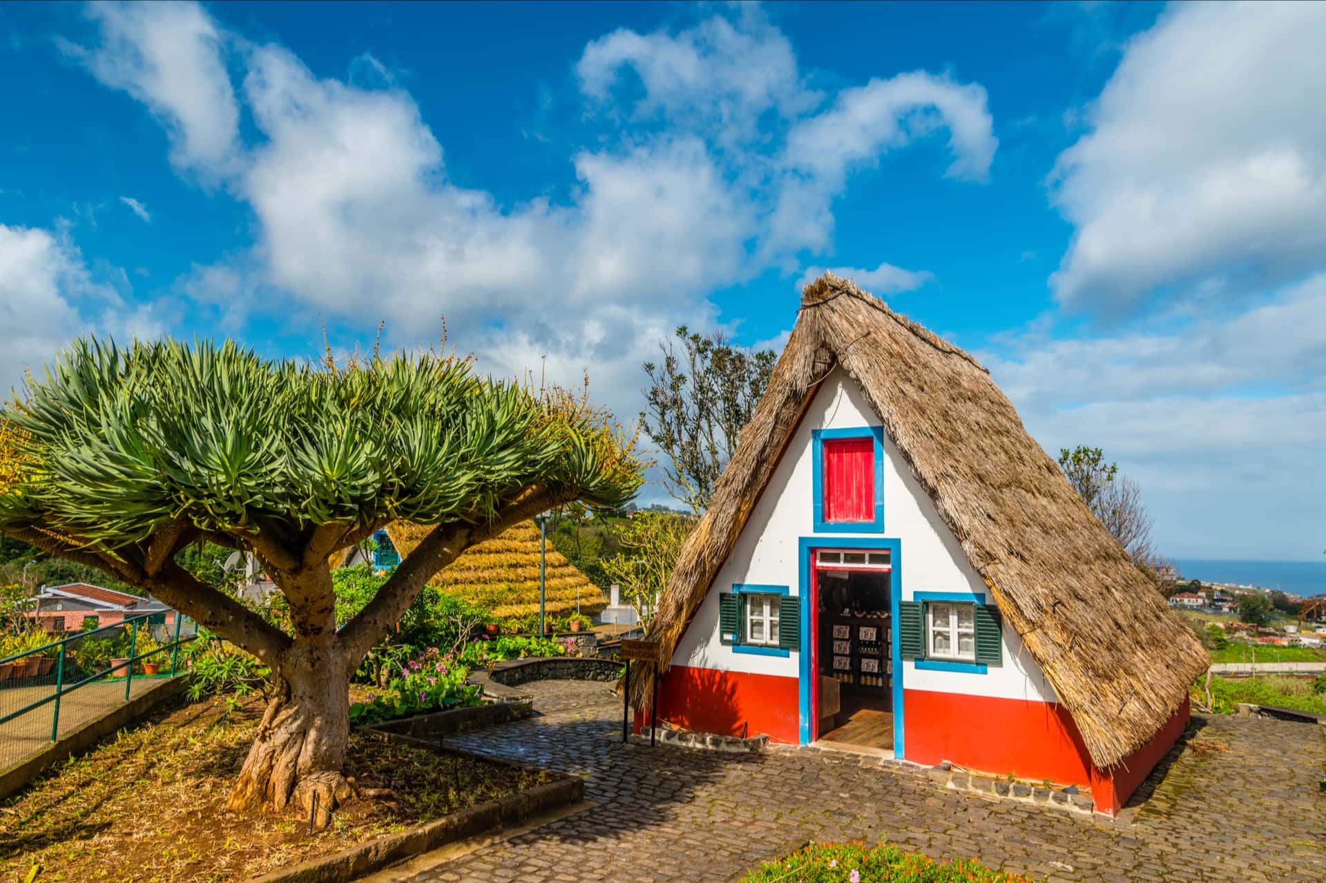 madeira